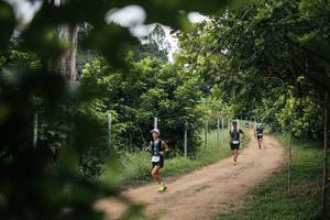 BIB: 
                            <button type="button" onclick="openModal(26829608)" class="btn btn-primary btn-sm float-right btn-popup" data-toggle="modal" data-target=".modal-high-quality">
                        <i class="fas fa-shopping-cart"></i> Add to Cart
                    </button>
                                            <button type="button" onclick="isThisMe(26829608, true)" class="btn btn-success btn-sm float-right btn-popup btn-isme hidden" data-toggle="tooltip" data-placement="bottom" title="นี่คือรูปของคุณใช่ไหม คลิกที่นี่เพื่อเอาเข้าอัลบั้ม">
                        <i class="fas fa-plus"></i> Add to album
                    </button>
                    <button type="button" onclick="isThisMe(26829608, false)" class="btn btn-warning btn-sm float-right btn-popup btn-isnotme hidden">
                        <i class="fas fa-ban"></i> Remove from album
                    </button>