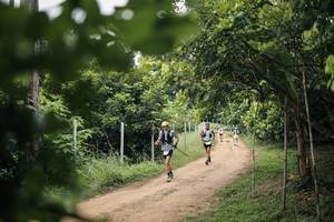 BIB: 
                            <button type="button" onclick="openModal(26829928)" class="btn btn-primary btn-sm float-right btn-popup" data-toggle="modal" data-target=".modal-high-quality">
                        <i class="fas fa-shopping-cart"></i> Add to Cart
                    </button>
                                            <button type="button" onclick="isThisMe(26829928, true)" class="btn btn-success btn-sm float-right btn-popup btn-isme hidden" data-toggle="tooltip" data-placement="bottom" title="นี่คือรูปของคุณใช่ไหม คลิกที่นี่เพื่อเอาเข้าอัลบั้ม">
                        <i class="fas fa-plus"></i> Add to album
                    </button>
                    <button type="button" onclick="isThisMe(26829928, false)" class="btn btn-warning btn-sm float-right btn-popup btn-isnotme hidden">
                        <i class="fas fa-ban"></i> Remove from album
                    </button>