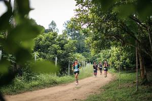 BIB: 
                            <button type="button" onclick="openModal(26822015)" class="btn btn-primary btn-sm float-right btn-popup" data-toggle="modal" data-target=".modal-high-quality">
                        <i class="fas fa-shopping-cart"></i> Add to Cart
                    </button>
                                            <button type="button" onclick="isThisMe(26822015, true)" class="btn btn-success btn-sm float-right btn-popup btn-isme hidden" data-toggle="tooltip" data-placement="bottom" title="นี่คือรูปของคุณใช่ไหม คลิกที่นี่เพื่อเอาเข้าอัลบั้ม">
                        <i class="fas fa-plus"></i> Add to album
                    </button>
                    <button type="button" onclick="isThisMe(26822015, false)" class="btn btn-warning btn-sm float-right btn-popup btn-isnotme hidden">
                        <i class="fas fa-ban"></i> Remove from album
                    </button>