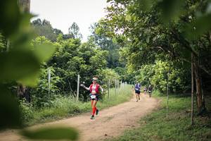 BIB: 
                            <button type="button" onclick="openModal(26823015)" class="btn btn-primary btn-sm float-right btn-popup" data-toggle="modal" data-target=".modal-high-quality">
                        <i class="fas fa-shopping-cart"></i> Add to Cart
                    </button>
                                            <button type="button" onclick="isThisMe(26823015, true)" class="btn btn-success btn-sm float-right btn-popup btn-isme hidden" data-toggle="tooltip" data-placement="bottom" title="นี่คือรูปของคุณใช่ไหม คลิกที่นี่เพื่อเอาเข้าอัลบั้ม">
                        <i class="fas fa-plus"></i> Add to album
                    </button>
                    <button type="button" onclick="isThisMe(26823015, false)" class="btn btn-warning btn-sm float-right btn-popup btn-isnotme hidden">
                        <i class="fas fa-ban"></i> Remove from album
                    </button>