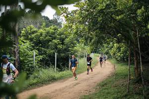 BIB: 
                            <button type="button" onclick="openModal(26827960)" class="btn btn-primary btn-sm float-right btn-popup" data-toggle="modal" data-target=".modal-high-quality">
                        <i class="fas fa-shopping-cart"></i> Add to Cart
                    </button>
                                            <button type="button" onclick="isThisMe(26827960, true)" class="btn btn-success btn-sm float-right btn-popup btn-isme hidden" data-toggle="tooltip" data-placement="bottom" title="นี่คือรูปของคุณใช่ไหม คลิกที่นี่เพื่อเอาเข้าอัลบั้ม">
                        <i class="fas fa-plus"></i> Add to album
                    </button>
                    <button type="button" onclick="isThisMe(26827960, false)" class="btn btn-warning btn-sm float-right btn-popup btn-isnotme hidden">
                        <i class="fas fa-ban"></i> Remove from album
                    </button>