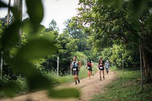 BIB: 
                            <button type="button" onclick="openModal(26827285)" class="btn btn-primary btn-sm float-right btn-popup" data-toggle="modal" data-target=".modal-high-quality">
                        <i class="fas fa-shopping-cart"></i> Add to Cart
                    </button>
                                            <button type="button" onclick="isThisMe(26827285, true)" class="btn btn-success btn-sm float-right btn-popup btn-isme hidden" data-toggle="tooltip" data-placement="bottom" title="นี่คือรูปของคุณใช่ไหม คลิกที่นี่เพื่อเอาเข้าอัลบั้ม">
                        <i class="fas fa-plus"></i> Add to album
                    </button>
                    <button type="button" onclick="isThisMe(26827285, false)" class="btn btn-warning btn-sm float-right btn-popup btn-isnotme hidden">
                        <i class="fas fa-ban"></i> Remove from album
                    </button>