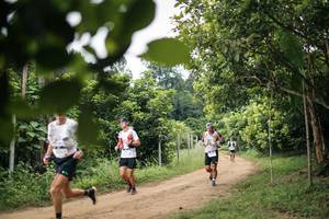 BIB: 
                            <button type="button" onclick="openModal(26832213)" class="btn btn-primary btn-sm float-right btn-popup" data-toggle="modal" data-target=".modal-high-quality">
                        <i class="fas fa-shopping-cart"></i> Add to Cart
                    </button>
                                            <button type="button" onclick="isThisMe(26832213, true)" class="btn btn-success btn-sm float-right btn-popup btn-isme hidden" data-toggle="tooltip" data-placement="bottom" title="นี่คือรูปของคุณใช่ไหม คลิกที่นี่เพื่อเอาเข้าอัลบั้ม">
                        <i class="fas fa-plus"></i> Add to album
                    </button>
                    <button type="button" onclick="isThisMe(26832213, false)" class="btn btn-warning btn-sm float-right btn-popup btn-isnotme hidden">
                        <i class="fas fa-ban"></i> Remove from album
                    </button>