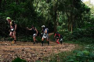 BIB: 
                            <button type="button" onclick="openModal(26978204)" class="btn btn-primary btn-sm float-right btn-popup" data-toggle="modal" data-target=".modal-high-quality">
                        <i class="fas fa-shopping-cart"></i> Add to Cart
                    </button>
                                            <button type="button" onclick="isThisMe(26978204, true)" class="btn btn-success btn-sm float-right btn-popup btn-isme hidden" data-toggle="tooltip" data-placement="bottom" title="นี่คือรูปของคุณใช่ไหม คลิกที่นี่เพื่อเอาเข้าอัลบั้ม">
                        <i class="fas fa-plus"></i> Add to album
                    </button>
                    <button type="button" onclick="isThisMe(26978204, false)" class="btn btn-warning btn-sm float-right btn-popup btn-isnotme hidden">
                        <i class="fas fa-ban"></i> Remove from album
                    </button>