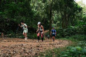 BIB: 
                            <button type="button" onclick="openModal(26976155)" class="btn btn-primary btn-sm float-right btn-popup" data-toggle="modal" data-target=".modal-high-quality">
                        <i class="fas fa-shopping-cart"></i> Add to Cart
                    </button>
                                            <button type="button" onclick="isThisMe(26976155, true)" class="btn btn-success btn-sm float-right btn-popup btn-isme hidden" data-toggle="tooltip" data-placement="bottom" title="นี่คือรูปของคุณใช่ไหม คลิกที่นี่เพื่อเอาเข้าอัลบั้ม">
                        <i class="fas fa-plus"></i> Add to album
                    </button>
                    <button type="button" onclick="isThisMe(26976155, false)" class="btn btn-warning btn-sm float-right btn-popup btn-isnotme hidden">
                        <i class="fas fa-ban"></i> Remove from album
                    </button>