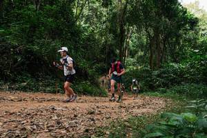 BIB: 
                            <button type="button" onclick="openModal(26976053)" class="btn btn-primary btn-sm float-right btn-popup" data-toggle="modal" data-target=".modal-high-quality">
                        <i class="fas fa-shopping-cart"></i> Add to Cart
                    </button>
                                            <button type="button" onclick="isThisMe(26976053, true)" class="btn btn-success btn-sm float-right btn-popup btn-isme hidden" data-toggle="tooltip" data-placement="bottom" title="นี่คือรูปของคุณใช่ไหม คลิกที่นี่เพื่อเอาเข้าอัลบั้ม">
                        <i class="fas fa-plus"></i> Add to album
                    </button>
                    <button type="button" onclick="isThisMe(26976053, false)" class="btn btn-warning btn-sm float-right btn-popup btn-isnotme hidden">
                        <i class="fas fa-ban"></i> Remove from album
                    </button>