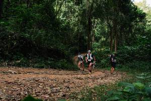 BIB: 
                            <button type="button" onclick="openModal(26977384)" class="btn btn-primary btn-sm float-right btn-popup" data-toggle="modal" data-target=".modal-high-quality">
                        <i class="fas fa-shopping-cart"></i> Add to Cart
                    </button>
                                            <button type="button" onclick="isThisMe(26977384, true)" class="btn btn-success btn-sm float-right btn-popup btn-isme hidden" data-toggle="tooltip" data-placement="bottom" title="นี่คือรูปของคุณใช่ไหม คลิกที่นี่เพื่อเอาเข้าอัลบั้ม">
                        <i class="fas fa-plus"></i> Add to album
                    </button>
                    <button type="button" onclick="isThisMe(26977384, false)" class="btn btn-warning btn-sm float-right btn-popup btn-isnotme hidden">
                        <i class="fas fa-ban"></i> Remove from album
                    </button>