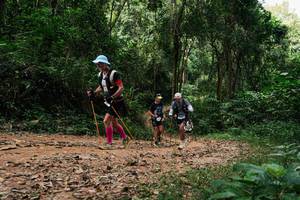 BIB: 
                            <button type="button" onclick="openModal(26975098)" class="btn btn-primary btn-sm float-right btn-popup" data-toggle="modal" data-target=".modal-high-quality">
                        <i class="fas fa-shopping-cart"></i> Add to Cart
                    </button>
                                            <button type="button" onclick="isThisMe(26975098, true)" class="btn btn-success btn-sm float-right btn-popup btn-isme hidden" data-toggle="tooltip" data-placement="bottom" title="นี่คือรูปของคุณใช่ไหม คลิกที่นี่เพื่อเอาเข้าอัลบั้ม">
                        <i class="fas fa-plus"></i> Add to album
                    </button>
                    <button type="button" onclick="isThisMe(26975098, false)" class="btn btn-warning btn-sm float-right btn-popup btn-isnotme hidden">
                        <i class="fas fa-ban"></i> Remove from album
                    </button>