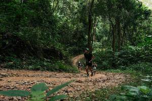 BIB: 
                            <button type="button" onclick="openModal(26971868)" class="btn btn-primary btn-sm float-right btn-popup" data-toggle="modal" data-target=".modal-high-quality">
                        <i class="fas fa-shopping-cart"></i> Add to Cart
                    </button>
                                            <button type="button" onclick="isThisMe(26971868, true)" class="btn btn-success btn-sm float-right btn-popup btn-isme hidden" data-toggle="tooltip" data-placement="bottom" title="นี่คือรูปของคุณใช่ไหม คลิกที่นี่เพื่อเอาเข้าอัลบั้ม">
                        <i class="fas fa-plus"></i> Add to album
                    </button>
                    <button type="button" onclick="isThisMe(26971868, false)" class="btn btn-warning btn-sm float-right btn-popup btn-isnotme hidden">
                        <i class="fas fa-ban"></i> Remove from album
                    </button>