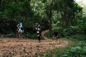 BIB: 
                            <button type="button" onclick="openModal(26974507)" class="btn btn-primary btn-sm float-right btn-popup" data-toggle="modal" data-target=".modal-high-quality">
                        <i class="fas fa-shopping-cart"></i> Add to Cart
                    </button>
                                            <button type="button" onclick="isThisMe(26974507, true)" class="btn btn-success btn-sm float-right btn-popup btn-isme hidden" data-toggle="tooltip" data-placement="bottom" title="นี่คือรูปของคุณใช่ไหม คลิกที่นี่เพื่อเอาเข้าอัลบั้ม">
                        <i class="fas fa-plus"></i> Add to album
                    </button>
                    <button type="button" onclick="isThisMe(26974507, false)" class="btn btn-warning btn-sm float-right btn-popup btn-isnotme hidden">
                        <i class="fas fa-ban"></i> Remove from album
                    </button>