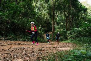 BIB: 
                            <button type="button" onclick="openModal(26974924)" class="btn btn-primary btn-sm float-right btn-popup" data-toggle="modal" data-target=".modal-high-quality">
                        <i class="fas fa-shopping-cart"></i> Add to Cart
                    </button>
                                            <button type="button" onclick="isThisMe(26974924, true)" class="btn btn-success btn-sm float-right btn-popup btn-isme hidden" data-toggle="tooltip" data-placement="bottom" title="นี่คือรูปของคุณใช่ไหม คลิกที่นี่เพื่อเอาเข้าอัลบั้ม">
                        <i class="fas fa-plus"></i> Add to album
                    </button>
                    <button type="button" onclick="isThisMe(26974924, false)" class="btn btn-warning btn-sm float-right btn-popup btn-isnotme hidden">
                        <i class="fas fa-ban"></i> Remove from album
                    </button>