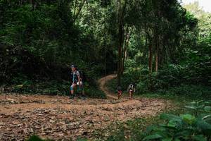 BIB: 
                            <button type="button" onclick="openModal(26977047)" class="btn btn-primary btn-sm float-right btn-popup" data-toggle="modal" data-target=".modal-high-quality">
                        <i class="fas fa-shopping-cart"></i> Add to Cart
                    </button>
                                            <button type="button" onclick="isThisMe(26977047, true)" class="btn btn-success btn-sm float-right btn-popup btn-isme hidden" data-toggle="tooltip" data-placement="bottom" title="นี่คือรูปของคุณใช่ไหม คลิกที่นี่เพื่อเอาเข้าอัลบั้ม">
                        <i class="fas fa-plus"></i> Add to album
                    </button>
                    <button type="button" onclick="isThisMe(26977047, false)" class="btn btn-warning btn-sm float-right btn-popup btn-isnotme hidden">
                        <i class="fas fa-ban"></i> Remove from album
                    </button>