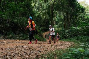 BIB: 
                            <button type="button" onclick="openModal(26978546)" class="btn btn-primary btn-sm float-right btn-popup" data-toggle="modal" data-target=".modal-high-quality">
                        <i class="fas fa-shopping-cart"></i> Add to Cart
                    </button>
                                            <button type="button" onclick="isThisMe(26978546, true)" class="btn btn-success btn-sm float-right btn-popup btn-isme hidden" data-toggle="tooltip" data-placement="bottom" title="นี่คือรูปของคุณใช่ไหม คลิกที่นี่เพื่อเอาเข้าอัลบั้ม">
                        <i class="fas fa-plus"></i> Add to album
                    </button>
                    <button type="button" onclick="isThisMe(26978546, false)" class="btn btn-warning btn-sm float-right btn-popup btn-isnotme hidden">
                        <i class="fas fa-ban"></i> Remove from album
                    </button>