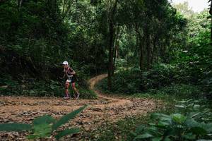 BIB: 
                            <button type="button" onclick="openModal(26970438)" class="btn btn-primary btn-sm float-right btn-popup" data-toggle="modal" data-target=".modal-high-quality">
                        <i class="fas fa-shopping-cart"></i> Add to Cart
                    </button>
                                            <button type="button" onclick="isThisMe(26970438, true)" class="btn btn-success btn-sm float-right btn-popup btn-isme hidden" data-toggle="tooltip" data-placement="bottom" title="นี่คือรูปของคุณใช่ไหม คลิกที่นี่เพื่อเอาเข้าอัลบั้ม">
                        <i class="fas fa-plus"></i> Add to album
                    </button>
                    <button type="button" onclick="isThisMe(26970438, false)" class="btn btn-warning btn-sm float-right btn-popup btn-isnotme hidden">
                        <i class="fas fa-ban"></i> Remove from album
                    </button>