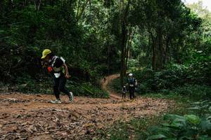 BIB: 
                            <button type="button" onclick="openModal(26980094)" class="btn btn-primary btn-sm float-right btn-popup" data-toggle="modal" data-target=".modal-high-quality">
                        <i class="fas fa-shopping-cart"></i> Add to Cart
                    </button>
                                            <button type="button" onclick="isThisMe(26980094, true)" class="btn btn-success btn-sm float-right btn-popup btn-isme hidden" data-toggle="tooltip" data-placement="bottom" title="นี่คือรูปของคุณใช่ไหม คลิกที่นี่เพื่อเอาเข้าอัลบั้ม">
                        <i class="fas fa-plus"></i> Add to album
                    </button>
                    <button type="button" onclick="isThisMe(26980094, false)" class="btn btn-warning btn-sm float-right btn-popup btn-isnotme hidden">
                        <i class="fas fa-ban"></i> Remove from album
                    </button>