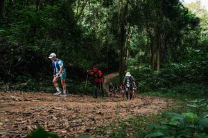 BIB: 
                            <button type="button" onclick="openModal(26978152)" class="btn btn-primary btn-sm float-right btn-popup" data-toggle="modal" data-target=".modal-high-quality">
                        <i class="fas fa-shopping-cart"></i> Add to Cart
                    </button>
                                            <button type="button" onclick="isThisMe(26978152, true)" class="btn btn-success btn-sm float-right btn-popup btn-isme hidden" data-toggle="tooltip" data-placement="bottom" title="นี่คือรูปของคุณใช่ไหม คลิกที่นี่เพื่อเอาเข้าอัลบั้ม">
                        <i class="fas fa-plus"></i> Add to album
                    </button>
                    <button type="button" onclick="isThisMe(26978152, false)" class="btn btn-warning btn-sm float-right btn-popup btn-isnotme hidden">
                        <i class="fas fa-ban"></i> Remove from album
                    </button>