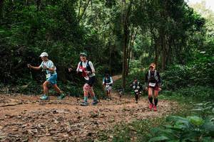 BIB: 
                            <button type="button" onclick="openModal(26974474)" class="btn btn-primary btn-sm float-right btn-popup" data-toggle="modal" data-target=".modal-high-quality">
                        <i class="fas fa-shopping-cart"></i> Add to Cart
                    </button>
                                            <button type="button" onclick="isThisMe(26974474, true)" class="btn btn-success btn-sm float-right btn-popup btn-isme hidden" data-toggle="tooltip" data-placement="bottom" title="นี่คือรูปของคุณใช่ไหม คลิกที่นี่เพื่อเอาเข้าอัลบั้ม">
                        <i class="fas fa-plus"></i> Add to album
                    </button>
                    <button type="button" onclick="isThisMe(26974474, false)" class="btn btn-warning btn-sm float-right btn-popup btn-isnotme hidden">
                        <i class="fas fa-ban"></i> Remove from album
                    </button>