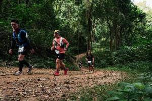 BIB: 
                            <button type="button" onclick="openModal(26974582)" class="btn btn-primary btn-sm float-right btn-popup" data-toggle="modal" data-target=".modal-high-quality">
                        <i class="fas fa-shopping-cart"></i> Add to Cart
                    </button>
                                            <button type="button" onclick="isThisMe(26974582, true)" class="btn btn-success btn-sm float-right btn-popup btn-isme hidden" data-toggle="tooltip" data-placement="bottom" title="นี่คือรูปของคุณใช่ไหม คลิกที่นี่เพื่อเอาเข้าอัลบั้ม">
                        <i class="fas fa-plus"></i> Add to album
                    </button>
                    <button type="button" onclick="isThisMe(26974582, false)" class="btn btn-warning btn-sm float-right btn-popup btn-isnotme hidden">
                        <i class="fas fa-ban"></i> Remove from album
                    </button>