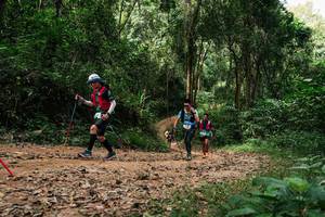 BIB: 
                            <button type="button" onclick="openModal(26976511)" class="btn btn-primary btn-sm float-right btn-popup" data-toggle="modal" data-target=".modal-high-quality">
                        <i class="fas fa-shopping-cart"></i> Add to Cart
                    </button>
                                            <button type="button" onclick="isThisMe(26976511, true)" class="btn btn-success btn-sm float-right btn-popup btn-isme hidden" data-toggle="tooltip" data-placement="bottom" title="นี่คือรูปของคุณใช่ไหม คลิกที่นี่เพื่อเอาเข้าอัลบั้ม">
                        <i class="fas fa-plus"></i> Add to album
                    </button>
                    <button type="button" onclick="isThisMe(26976511, false)" class="btn btn-warning btn-sm float-right btn-popup btn-isnotme hidden">
                        <i class="fas fa-ban"></i> Remove from album
                    </button>