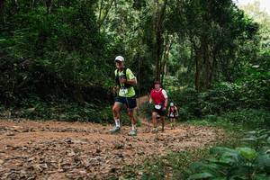 BIB: 
                            <button type="button" onclick="openModal(26976301)" class="btn btn-primary btn-sm float-right btn-popup" data-toggle="modal" data-target=".modal-high-quality">
                        <i class="fas fa-shopping-cart"></i> Add to Cart
                    </button>
                                            <button type="button" onclick="isThisMe(26976301, true)" class="btn btn-success btn-sm float-right btn-popup btn-isme hidden" data-toggle="tooltip" data-placement="bottom" title="นี่คือรูปของคุณใช่ไหม คลิกที่นี่เพื่อเอาเข้าอัลบั้ม">
                        <i class="fas fa-plus"></i> Add to album
                    </button>
                    <button type="button" onclick="isThisMe(26976301, false)" class="btn btn-warning btn-sm float-right btn-popup btn-isnotme hidden">
                        <i class="fas fa-ban"></i> Remove from album
                    </button>