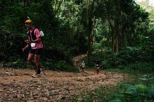 BIB: 
                            <button type="button" onclick="openModal(26976173)" class="btn btn-primary btn-sm float-right btn-popup" data-toggle="modal" data-target=".modal-high-quality">
                        <i class="fas fa-shopping-cart"></i> Add to Cart
                    </button>
                                            <button type="button" onclick="isThisMe(26976173, true)" class="btn btn-success btn-sm float-right btn-popup btn-isme hidden" data-toggle="tooltip" data-placement="bottom" title="นี่คือรูปของคุณใช่ไหม คลิกที่นี่เพื่อเอาเข้าอัลบั้ม">
                        <i class="fas fa-plus"></i> Add to album
                    </button>
                    <button type="button" onclick="isThisMe(26976173, false)" class="btn btn-warning btn-sm float-right btn-popup btn-isnotme hidden">
                        <i class="fas fa-ban"></i> Remove from album
                    </button>