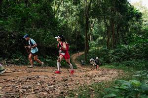 BIB: 
                            <button type="button" onclick="openModal(26974217)" class="btn btn-primary btn-sm float-right btn-popup" data-toggle="modal" data-target=".modal-high-quality">
                        <i class="fas fa-shopping-cart"></i> Add to Cart
                    </button>
                                            <button type="button" onclick="isThisMe(26974217, true)" class="btn btn-success btn-sm float-right btn-popup btn-isme hidden" data-toggle="tooltip" data-placement="bottom" title="นี่คือรูปของคุณใช่ไหม คลิกที่นี่เพื่อเอาเข้าอัลบั้ม">
                        <i class="fas fa-plus"></i> Add to album
                    </button>
                    <button type="button" onclick="isThisMe(26974217, false)" class="btn btn-warning btn-sm float-right btn-popup btn-isnotme hidden">
                        <i class="fas fa-ban"></i> Remove from album
                    </button>