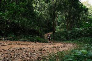 BIB: 
                            <button type="button" onclick="openModal(26973588)" class="btn btn-primary btn-sm float-right btn-popup" data-toggle="modal" data-target=".modal-high-quality">
                        <i class="fas fa-shopping-cart"></i> Add to Cart
                    </button>
                                            <button type="button" onclick="isThisMe(26973588, true)" class="btn btn-success btn-sm float-right btn-popup btn-isme hidden" data-toggle="tooltip" data-placement="bottom" title="นี่คือรูปของคุณใช่ไหม คลิกที่นี่เพื่อเอาเข้าอัลบั้ม">
                        <i class="fas fa-plus"></i> Add to album
                    </button>
                    <button type="button" onclick="isThisMe(26973588, false)" class="btn btn-warning btn-sm float-right btn-popup btn-isnotme hidden">
                        <i class="fas fa-ban"></i> Remove from album
                    </button>