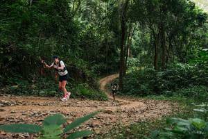 BIB: 
                            <button type="button" onclick="openModal(26971678)" class="btn btn-primary btn-sm float-right btn-popup" data-toggle="modal" data-target=".modal-high-quality">
                        <i class="fas fa-shopping-cart"></i> Add to Cart
                    </button>
                                            <button type="button" onclick="isThisMe(26971678, true)" class="btn btn-success btn-sm float-right btn-popup btn-isme hidden" data-toggle="tooltip" data-placement="bottom" title="นี่คือรูปของคุณใช่ไหม คลิกที่นี่เพื่อเอาเข้าอัลบั้ม">
                        <i class="fas fa-plus"></i> Add to album
                    </button>
                    <button type="button" onclick="isThisMe(26971678, false)" class="btn btn-warning btn-sm float-right btn-popup btn-isnotme hidden">
                        <i class="fas fa-ban"></i> Remove from album
                    </button>