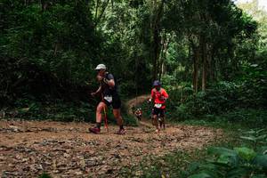 BIB: 
                            <button type="button" onclick="openModal(26976454)" class="btn btn-primary btn-sm float-right btn-popup" data-toggle="modal" data-target=".modal-high-quality">
                        <i class="fas fa-shopping-cart"></i> Add to Cart
                    </button>
                                            <button type="button" onclick="isThisMe(26976454, true)" class="btn btn-success btn-sm float-right btn-popup btn-isme hidden" data-toggle="tooltip" data-placement="bottom" title="นี่คือรูปของคุณใช่ไหม คลิกที่นี่เพื่อเอาเข้าอัลบั้ม">
                        <i class="fas fa-plus"></i> Add to album
                    </button>
                    <button type="button" onclick="isThisMe(26976454, false)" class="btn btn-warning btn-sm float-right btn-popup btn-isnotme hidden">
                        <i class="fas fa-ban"></i> Remove from album
                    </button>