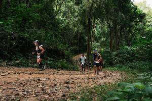 BIB: 
                            <button type="button" onclick="openModal(26975494)" class="btn btn-primary btn-sm float-right btn-popup" data-toggle="modal" data-target=".modal-high-quality">
                        <i class="fas fa-shopping-cart"></i> Add to Cart
                    </button>
                                            <button type="button" onclick="isThisMe(26975494, true)" class="btn btn-success btn-sm float-right btn-popup btn-isme hidden" data-toggle="tooltip" data-placement="bottom" title="นี่คือรูปของคุณใช่ไหม คลิกที่นี่เพื่อเอาเข้าอัลบั้ม">
                        <i class="fas fa-plus"></i> Add to album
                    </button>
                    <button type="button" onclick="isThisMe(26975494, false)" class="btn btn-warning btn-sm float-right btn-popup btn-isnotme hidden">
                        <i class="fas fa-ban"></i> Remove from album
                    </button>