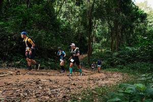 BIB: 
                            <button type="button" onclick="openModal(26971883)" class="btn btn-primary btn-sm float-right btn-popup" data-toggle="modal" data-target=".modal-high-quality">
                        <i class="fas fa-shopping-cart"></i> Add to Cart
                    </button>
                                            <button type="button" onclick="isThisMe(26971883, true)" class="btn btn-success btn-sm float-right btn-popup btn-isme hidden" data-toggle="tooltip" data-placement="bottom" title="นี่คือรูปของคุณใช่ไหม คลิกที่นี่เพื่อเอาเข้าอัลบั้ม">
                        <i class="fas fa-plus"></i> Add to album
                    </button>
                    <button type="button" onclick="isThisMe(26971883, false)" class="btn btn-warning btn-sm float-right btn-popup btn-isnotme hidden">
                        <i class="fas fa-ban"></i> Remove from album
                    </button>