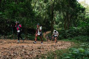 BIB: 
                            <button type="button" onclick="openModal(26975280)" class="btn btn-primary btn-sm float-right btn-popup" data-toggle="modal" data-target=".modal-high-quality">
                        <i class="fas fa-shopping-cart"></i> Add to Cart
                    </button>
                                            <button type="button" onclick="isThisMe(26975280, true)" class="btn btn-success btn-sm float-right btn-popup btn-isme hidden" data-toggle="tooltip" data-placement="bottom" title="นี่คือรูปของคุณใช่ไหม คลิกที่นี่เพื่อเอาเข้าอัลบั้ม">
                        <i class="fas fa-plus"></i> Add to album
                    </button>
                    <button type="button" onclick="isThisMe(26975280, false)" class="btn btn-warning btn-sm float-right btn-popup btn-isnotme hidden">
                        <i class="fas fa-ban"></i> Remove from album
                    </button>