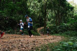 BIB: 
                            <button type="button" onclick="openModal(26975366)" class="btn btn-primary btn-sm float-right btn-popup" data-toggle="modal" data-target=".modal-high-quality">
                        <i class="fas fa-shopping-cart"></i> Add to Cart
                    </button>
                                            <button type="button" onclick="isThisMe(26975366, true)" class="btn btn-success btn-sm float-right btn-popup btn-isme hidden" data-toggle="tooltip" data-placement="bottom" title="นี่คือรูปของคุณใช่ไหม คลิกที่นี่เพื่อเอาเข้าอัลบั้ม">
                        <i class="fas fa-plus"></i> Add to album
                    </button>
                    <button type="button" onclick="isThisMe(26975366, false)" class="btn btn-warning btn-sm float-right btn-popup btn-isnotme hidden">
                        <i class="fas fa-ban"></i> Remove from album
                    </button>