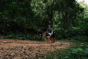 BIB: 
                            <button type="button" onclick="openModal(26980526)" class="btn btn-primary btn-sm float-right btn-popup" data-toggle="modal" data-target=".modal-high-quality">
                        <i class="fas fa-shopping-cart"></i> Add to Cart
                    </button>
                                            <button type="button" onclick="isThisMe(26980526, true)" class="btn btn-success btn-sm float-right btn-popup btn-isme hidden" data-toggle="tooltip" data-placement="bottom" title="นี่คือรูปของคุณใช่ไหม คลิกที่นี่เพื่อเอาเข้าอัลบั้ม">
                        <i class="fas fa-plus"></i> Add to album
                    </button>
                    <button type="button" onclick="isThisMe(26980526, false)" class="btn btn-warning btn-sm float-right btn-popup btn-isnotme hidden">
                        <i class="fas fa-ban"></i> Remove from album
                    </button>