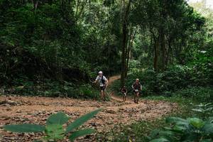 BIB: 
                            <button type="button" onclick="openModal(26973309)" class="btn btn-primary btn-sm float-right btn-popup" data-toggle="modal" data-target=".modal-high-quality">
                        <i class="fas fa-shopping-cart"></i> Add to Cart
                    </button>
                                            <button type="button" onclick="isThisMe(26973309, true)" class="btn btn-success btn-sm float-right btn-popup btn-isme hidden" data-toggle="tooltip" data-placement="bottom" title="นี่คือรูปของคุณใช่ไหม คลิกที่นี่เพื่อเอาเข้าอัลบั้ม">
                        <i class="fas fa-plus"></i> Add to album
                    </button>
                    <button type="button" onclick="isThisMe(26973309, false)" class="btn btn-warning btn-sm float-right btn-popup btn-isnotme hidden">
                        <i class="fas fa-ban"></i> Remove from album
                    </button>