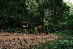 BIB: 
                            <button type="button" onclick="openModal(26979579)" class="btn btn-primary btn-sm float-right btn-popup" data-toggle="modal" data-target=".modal-high-quality">
                        <i class="fas fa-shopping-cart"></i> Add to Cart
                    </button>
                                            <button type="button" onclick="isThisMe(26979579, true)" class="btn btn-success btn-sm float-right btn-popup btn-isme hidden" data-toggle="tooltip" data-placement="bottom" title="นี่คือรูปของคุณใช่ไหม คลิกที่นี่เพื่อเอาเข้าอัลบั้ม">
                        <i class="fas fa-plus"></i> Add to album
                    </button>
                    <button type="button" onclick="isThisMe(26979579, false)" class="btn btn-warning btn-sm float-right btn-popup btn-isnotme hidden">
                        <i class="fas fa-ban"></i> Remove from album
                    </button>