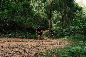 BIB: 
                            <button type="button" onclick="openModal(26976750)" class="btn btn-primary btn-sm float-right btn-popup" data-toggle="modal" data-target=".modal-high-quality">
                        <i class="fas fa-shopping-cart"></i> Add to Cart
                    </button>
                                            <button type="button" onclick="isThisMe(26976750, true)" class="btn btn-success btn-sm float-right btn-popup btn-isme hidden" data-toggle="tooltip" data-placement="bottom" title="นี่คือรูปของคุณใช่ไหม คลิกที่นี่เพื่อเอาเข้าอัลบั้ม">
                        <i class="fas fa-plus"></i> Add to album
                    </button>
                    <button type="button" onclick="isThisMe(26976750, false)" class="btn btn-warning btn-sm float-right btn-popup btn-isnotme hidden">
                        <i class="fas fa-ban"></i> Remove from album
                    </button>