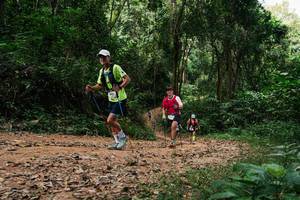 BIB: 
                            <button type="button" onclick="openModal(26976311)" class="btn btn-primary btn-sm float-right btn-popup" data-toggle="modal" data-target=".modal-high-quality">
                        <i class="fas fa-shopping-cart"></i> Add to Cart
                    </button>
                                            <button type="button" onclick="isThisMe(26976311, true)" class="btn btn-success btn-sm float-right btn-popup btn-isme hidden" data-toggle="tooltip" data-placement="bottom" title="นี่คือรูปของคุณใช่ไหม คลิกที่นี่เพื่อเอาเข้าอัลบั้ม">
                        <i class="fas fa-plus"></i> Add to album
                    </button>
                    <button type="button" onclick="isThisMe(26976311, false)" class="btn btn-warning btn-sm float-right btn-popup btn-isnotme hidden">
                        <i class="fas fa-ban"></i> Remove from album
                    </button>