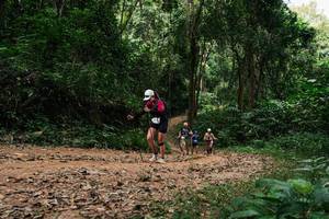 BIB: 
                            <button type="button" onclick="openModal(26976132)" class="btn btn-primary btn-sm float-right btn-popup" data-toggle="modal" data-target=".modal-high-quality">
                        <i class="fas fa-shopping-cart"></i> Add to Cart
                    </button>
                                            <button type="button" onclick="isThisMe(26976132, true)" class="btn btn-success btn-sm float-right btn-popup btn-isme hidden" data-toggle="tooltip" data-placement="bottom" title="นี่คือรูปของคุณใช่ไหม คลิกที่นี่เพื่อเอาเข้าอัลบั้ม">
                        <i class="fas fa-plus"></i> Add to album
                    </button>
                    <button type="button" onclick="isThisMe(26976132, false)" class="btn btn-warning btn-sm float-right btn-popup btn-isnotme hidden">
                        <i class="fas fa-ban"></i> Remove from album
                    </button>