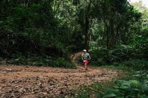 BIB: 
                            <button type="button" onclick="openModal(26979953)" class="btn btn-primary btn-sm float-right btn-popup" data-toggle="modal" data-target=".modal-high-quality">
                        <i class="fas fa-shopping-cart"></i> Add to Cart
                    </button>
                                            <button type="button" onclick="isThisMe(26979953, true)" class="btn btn-success btn-sm float-right btn-popup btn-isme hidden" data-toggle="tooltip" data-placement="bottom" title="นี่คือรูปของคุณใช่ไหม คลิกที่นี่เพื่อเอาเข้าอัลบั้ม">
                        <i class="fas fa-plus"></i> Add to album
                    </button>
                    <button type="button" onclick="isThisMe(26979953, false)" class="btn btn-warning btn-sm float-right btn-popup btn-isnotme hidden">
                        <i class="fas fa-ban"></i> Remove from album
                    </button>