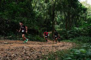 BIB: 
                            <button type="button" onclick="openModal(26979592)" class="btn btn-primary btn-sm float-right btn-popup" data-toggle="modal" data-target=".modal-high-quality">
                        <i class="fas fa-shopping-cart"></i> Add to Cart
                    </button>
                                            <button type="button" onclick="isThisMe(26979592, true)" class="btn btn-success btn-sm float-right btn-popup btn-isme hidden" data-toggle="tooltip" data-placement="bottom" title="นี่คือรูปของคุณใช่ไหม คลิกที่นี่เพื่อเอาเข้าอัลบั้ม">
                        <i class="fas fa-plus"></i> Add to album
                    </button>
                    <button type="button" onclick="isThisMe(26979592, false)" class="btn btn-warning btn-sm float-right btn-popup btn-isnotme hidden">
                        <i class="fas fa-ban"></i> Remove from album
                    </button>