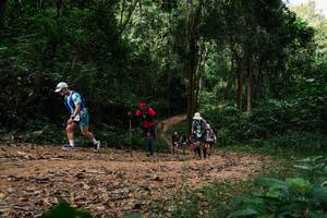 BIB: 
                            <button type="button" onclick="openModal(26978157)" class="btn btn-primary btn-sm float-right btn-popup" data-toggle="modal" data-target=".modal-high-quality">
                        <i class="fas fa-shopping-cart"></i> Add to Cart
                    </button>
                                            <button type="button" onclick="isThisMe(26978157, true)" class="btn btn-success btn-sm float-right btn-popup btn-isme hidden" data-toggle="tooltip" data-placement="bottom" title="นี่คือรูปของคุณใช่ไหม คลิกที่นี่เพื่อเอาเข้าอัลบั้ม">
                        <i class="fas fa-plus"></i> Add to album
                    </button>
                    <button type="button" onclick="isThisMe(26978157, false)" class="btn btn-warning btn-sm float-right btn-popup btn-isnotme hidden">
                        <i class="fas fa-ban"></i> Remove from album
                    </button>