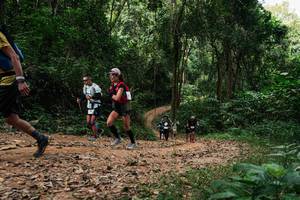 BIB: 
                            <button type="button" onclick="openModal(26975524)" class="btn btn-primary btn-sm float-right btn-popup" data-toggle="modal" data-target=".modal-high-quality">
                        <i class="fas fa-shopping-cart"></i> Add to Cart
                    </button>
                                            <button type="button" onclick="isThisMe(26975524, true)" class="btn btn-success btn-sm float-right btn-popup btn-isme hidden" data-toggle="tooltip" data-placement="bottom" title="นี่คือรูปของคุณใช่ไหม คลิกที่นี่เพื่อเอาเข้าอัลบั้ม">
                        <i class="fas fa-plus"></i> Add to album
                    </button>
                    <button type="button" onclick="isThisMe(26975524, false)" class="btn btn-warning btn-sm float-right btn-popup btn-isnotme hidden">
                        <i class="fas fa-ban"></i> Remove from album
                    </button>