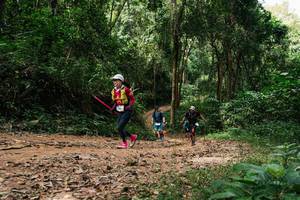 BIB: 
                            <button type="button" onclick="openModal(26974920)" class="btn btn-primary btn-sm float-right btn-popup" data-toggle="modal" data-target=".modal-high-quality">
                        <i class="fas fa-shopping-cart"></i> Add to Cart
                    </button>
                                            <button type="button" onclick="isThisMe(26974920, true)" class="btn btn-success btn-sm float-right btn-popup btn-isme hidden" data-toggle="tooltip" data-placement="bottom" title="นี่คือรูปของคุณใช่ไหม คลิกที่นี่เพื่อเอาเข้าอัลบั้ม">
                        <i class="fas fa-plus"></i> Add to album
                    </button>
                    <button type="button" onclick="isThisMe(26974920, false)" class="btn btn-warning btn-sm float-right btn-popup btn-isnotme hidden">
                        <i class="fas fa-ban"></i> Remove from album
                    </button>