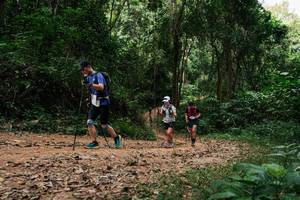 BIB: 
                            <button type="button" onclick="openModal(26976045)" class="btn btn-primary btn-sm float-right btn-popup" data-toggle="modal" data-target=".modal-high-quality">
                        <i class="fas fa-shopping-cart"></i> Add to Cart
                    </button>
                                            <button type="button" onclick="isThisMe(26976045, true)" class="btn btn-success btn-sm float-right btn-popup btn-isme hidden" data-toggle="tooltip" data-placement="bottom" title="นี่คือรูปของคุณใช่ไหม คลิกที่นี่เพื่อเอาเข้าอัลบั้ม">
                        <i class="fas fa-plus"></i> Add to album
                    </button>
                    <button type="button" onclick="isThisMe(26976045, false)" class="btn btn-warning btn-sm float-right btn-popup btn-isnotme hidden">
                        <i class="fas fa-ban"></i> Remove from album
                    </button>