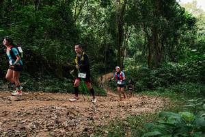 BIB: 
                            <button type="button" onclick="openModal(26977474)" class="btn btn-primary btn-sm float-right btn-popup" data-toggle="modal" data-target=".modal-high-quality">
                        <i class="fas fa-shopping-cart"></i> Add to Cart
                    </button>
                                            <button type="button" onclick="isThisMe(26977474, true)" class="btn btn-success btn-sm float-right btn-popup btn-isme hidden" data-toggle="tooltip" data-placement="bottom" title="นี่คือรูปของคุณใช่ไหม คลิกที่นี่เพื่อเอาเข้าอัลบั้ม">
                        <i class="fas fa-plus"></i> Add to album
                    </button>
                    <button type="button" onclick="isThisMe(26977474, false)" class="btn btn-warning btn-sm float-right btn-popup btn-isnotme hidden">
                        <i class="fas fa-ban"></i> Remove from album
                    </button>