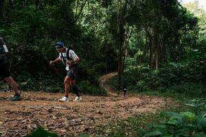 BIB: 
                            <button type="button" onclick="openModal(26978449)" class="btn btn-primary btn-sm float-right btn-popup" data-toggle="modal" data-target=".modal-high-quality">
                        <i class="fas fa-shopping-cart"></i> Add to Cart
                    </button>
                                            <button type="button" onclick="isThisMe(26978449, true)" class="btn btn-success btn-sm float-right btn-popup btn-isme hidden" data-toggle="tooltip" data-placement="bottom" title="นี่คือรูปของคุณใช่ไหม คลิกที่นี่เพื่อเอาเข้าอัลบั้ม">
                        <i class="fas fa-plus"></i> Add to album
                    </button>
                    <button type="button" onclick="isThisMe(26978449, false)" class="btn btn-warning btn-sm float-right btn-popup btn-isnotme hidden">
                        <i class="fas fa-ban"></i> Remove from album
                    </button>