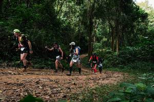 BIB: 
                            <button type="button" onclick="openModal(26978205)" class="btn btn-primary btn-sm float-right btn-popup" data-toggle="modal" data-target=".modal-high-quality">
                        <i class="fas fa-shopping-cart"></i> Add to Cart
                    </button>
                                            <button type="button" onclick="isThisMe(26978205, true)" class="btn btn-success btn-sm float-right btn-popup btn-isme hidden" data-toggle="tooltip" data-placement="bottom" title="นี่คือรูปของคุณใช่ไหม คลิกที่นี่เพื่อเอาเข้าอัลบั้ม">
                        <i class="fas fa-plus"></i> Add to album
                    </button>
                    <button type="button" onclick="isThisMe(26978205, false)" class="btn btn-warning btn-sm float-right btn-popup btn-isnotme hidden">
                        <i class="fas fa-ban"></i> Remove from album
                    </button>