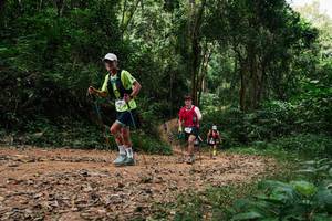 BIB: 
                            <button type="button" onclick="openModal(26976305)" class="btn btn-primary btn-sm float-right btn-popup" data-toggle="modal" data-target=".modal-high-quality">
                        <i class="fas fa-shopping-cart"></i> Add to Cart
                    </button>
                                            <button type="button" onclick="isThisMe(26976305, true)" class="btn btn-success btn-sm float-right btn-popup btn-isme hidden" data-toggle="tooltip" data-placement="bottom" title="นี่คือรูปของคุณใช่ไหม คลิกที่นี่เพื่อเอาเข้าอัลบั้ม">
                        <i class="fas fa-plus"></i> Add to album
                    </button>
                    <button type="button" onclick="isThisMe(26976305, false)" class="btn btn-warning btn-sm float-right btn-popup btn-isnotme hidden">
                        <i class="fas fa-ban"></i> Remove from album
                    </button>