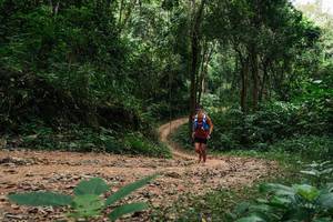 BIB: 
                            <button type="button" onclick="openModal(26972001)" class="btn btn-primary btn-sm float-right btn-popup" data-toggle="modal" data-target=".modal-high-quality">
                        <i class="fas fa-shopping-cart"></i> Add to Cart
                    </button>
                                            <button type="button" onclick="isThisMe(26972001, true)" class="btn btn-success btn-sm float-right btn-popup btn-isme hidden" data-toggle="tooltip" data-placement="bottom" title="นี่คือรูปของคุณใช่ไหม คลิกที่นี่เพื่อเอาเข้าอัลบั้ม">
                        <i class="fas fa-plus"></i> Add to album
                    </button>
                    <button type="button" onclick="isThisMe(26972001, false)" class="btn btn-warning btn-sm float-right btn-popup btn-isnotme hidden">
                        <i class="fas fa-ban"></i> Remove from album
                    </button>